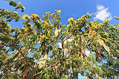 消息称PS5主机已可越狱 能够安装非官方软件